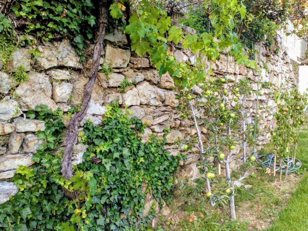 La Maison Jaffran, Suite En Ville Privas Exterior photo
